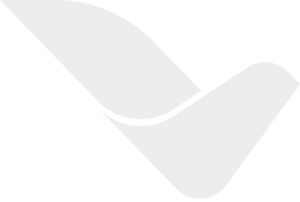logo-transparente-gris